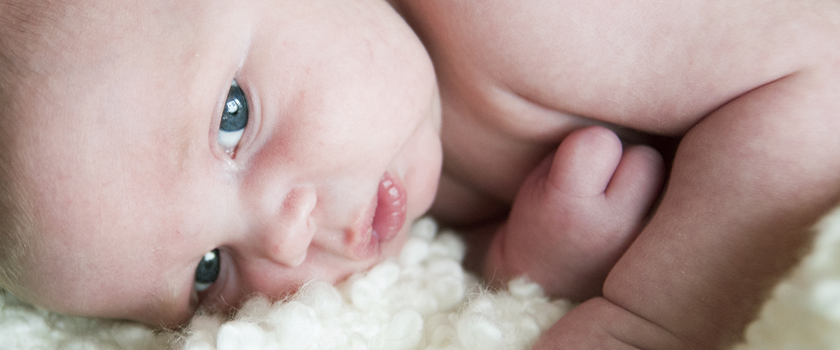 Ian – one month old infant portraits