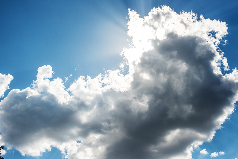 20120905_0001-800 252