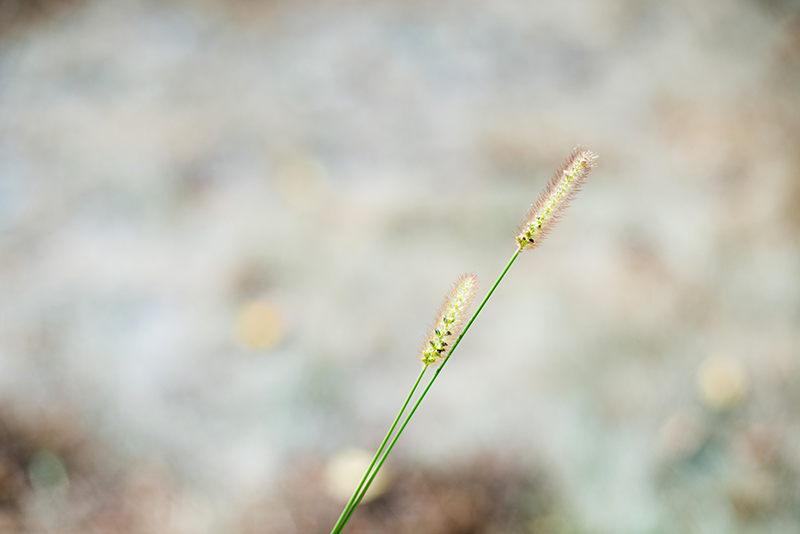 20120905_0006-800 249