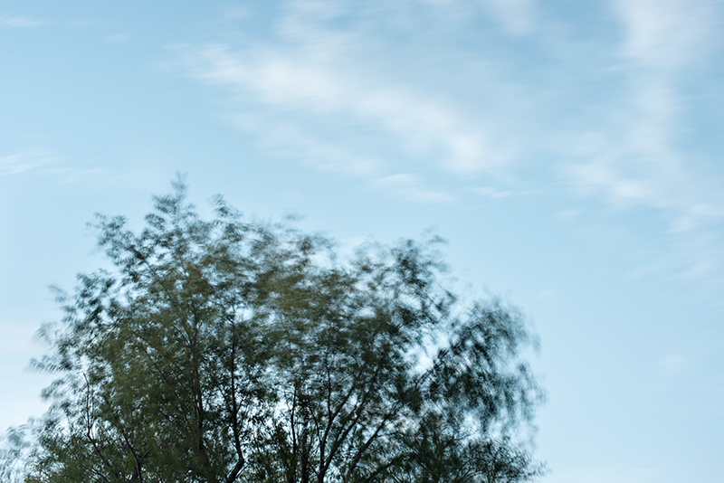 20120910_0006r-800 254