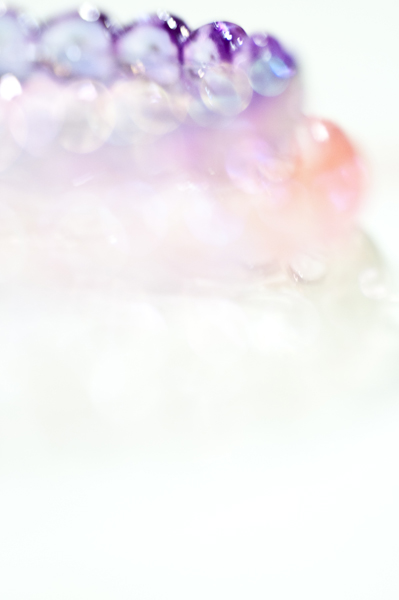 2012 365 project