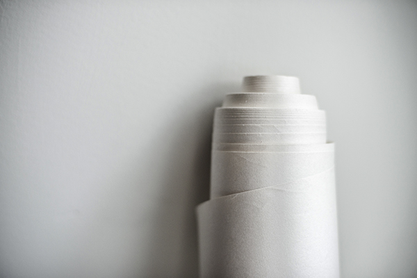 2012 365 project