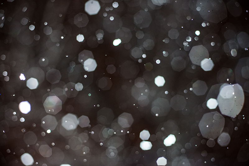 2012 365 project