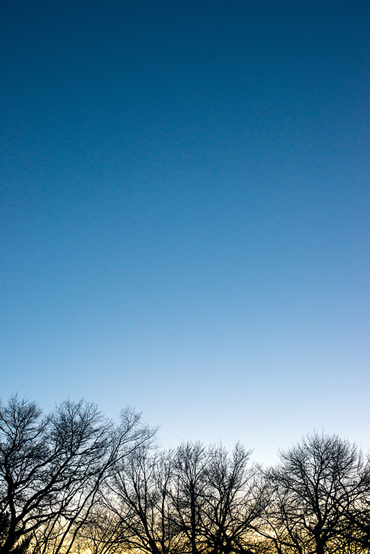2012 365 project