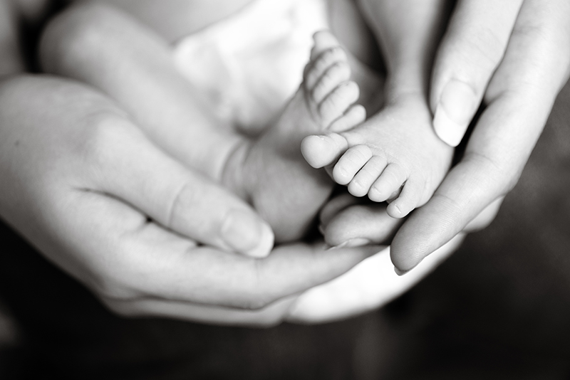 Annika newborn pictures