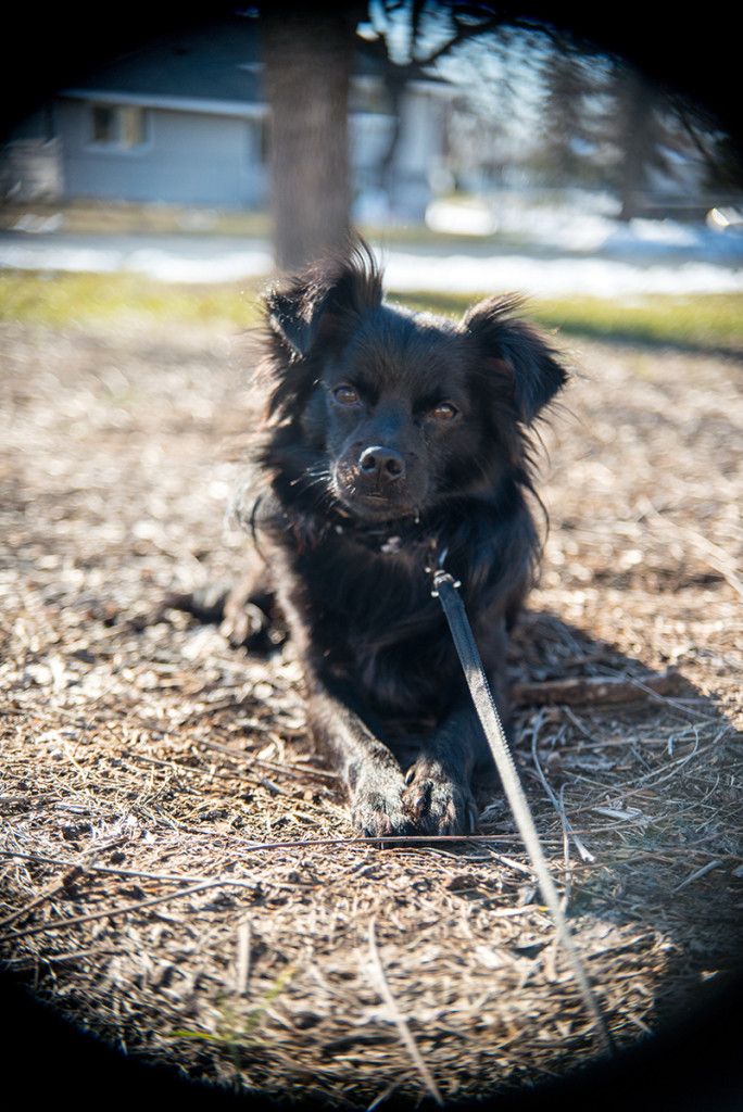 20130423_0071-1200