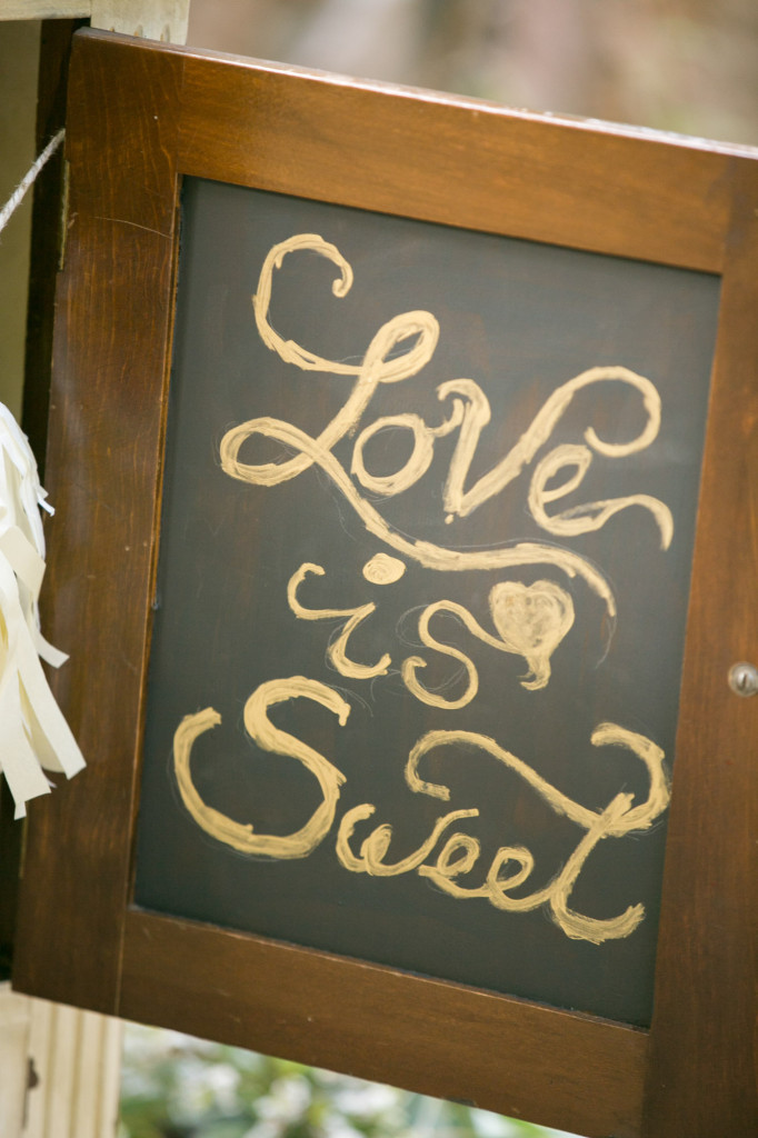 Lindsey and Chris's unicorn themed fall wedding in MN