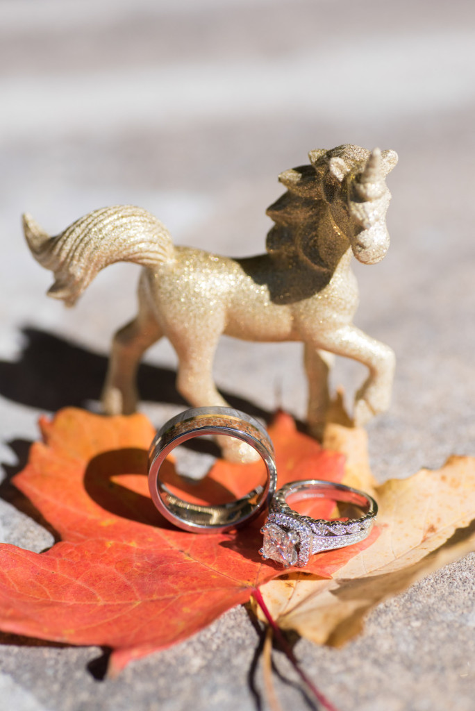 Lindsey and Chris's unicorn themed fall wedding in MN