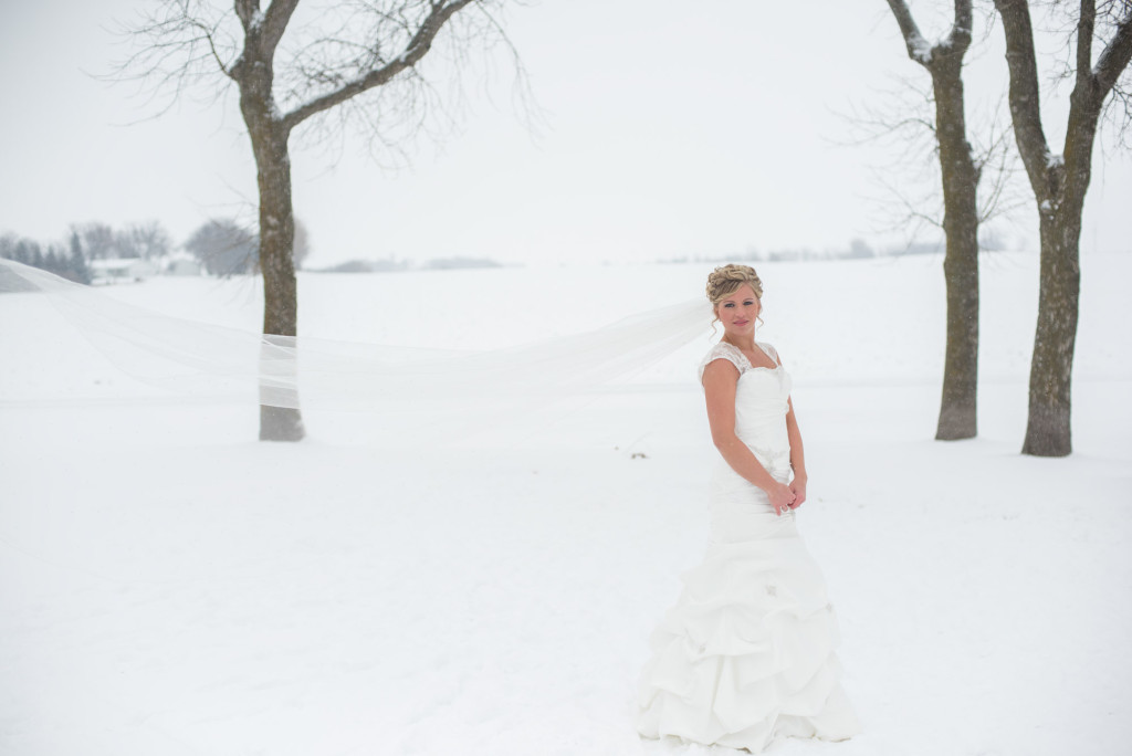 Shelby and Mark's winter wedding from Hendricks, MN to Brookings, SD