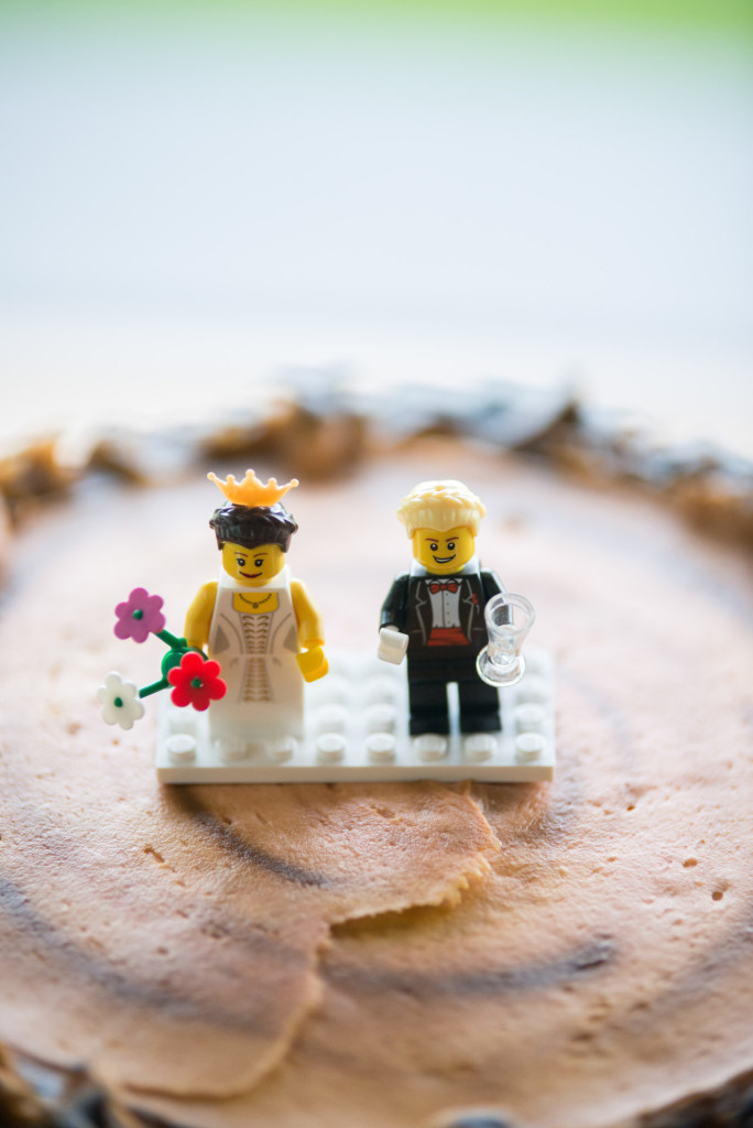Jessica and Meghan's Buddhist wedding at scenic Spring Lake Park Reserve