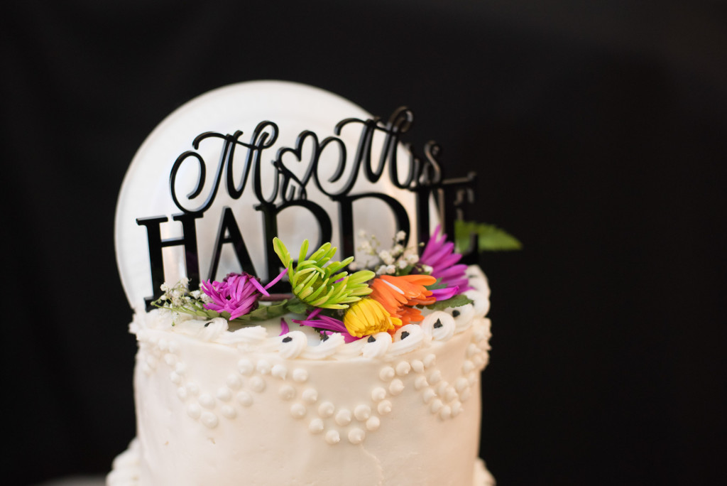 Rachael and Chris's summer baseball themed wedding in Waverly, MN