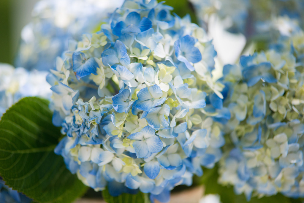 Travis and Brian's summer wedding at Bearpath in Eden Prairie, MN